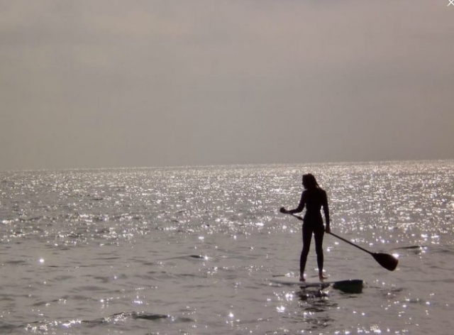 Paddle Surf